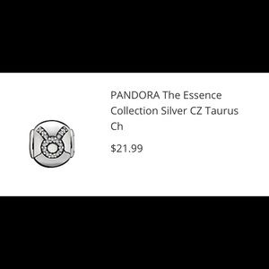 Pandora Charm